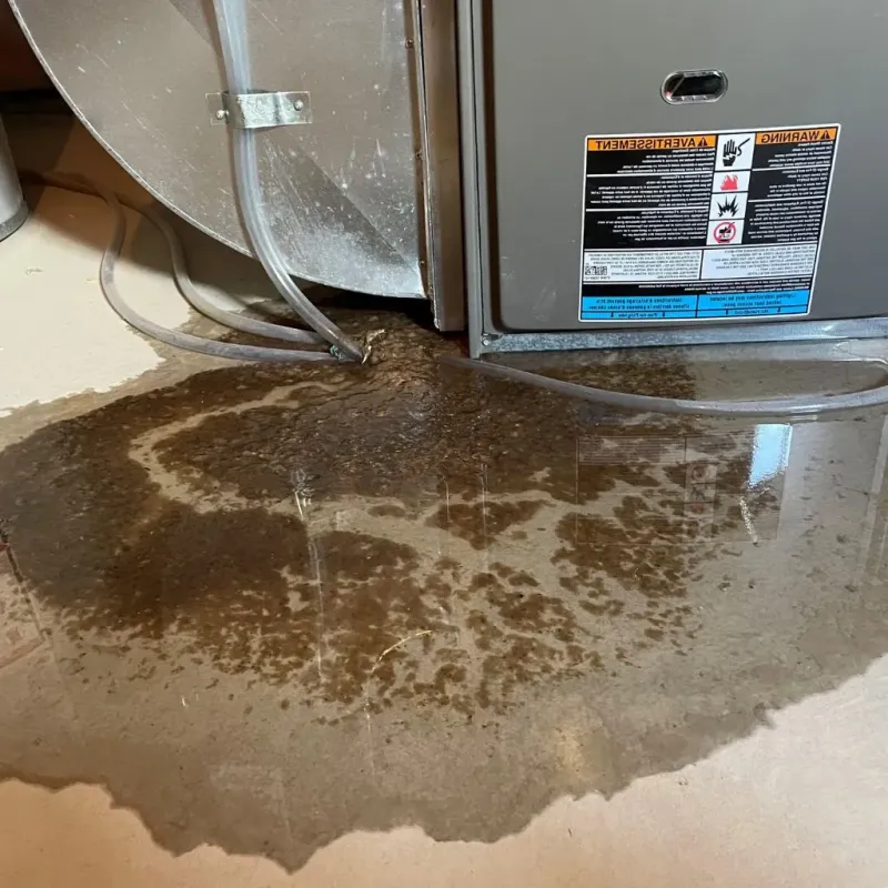 Pipe Burst and Leak Restoration in Sleepy Hollow, NY